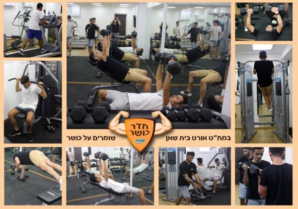 מודל חינוך הוליסטי