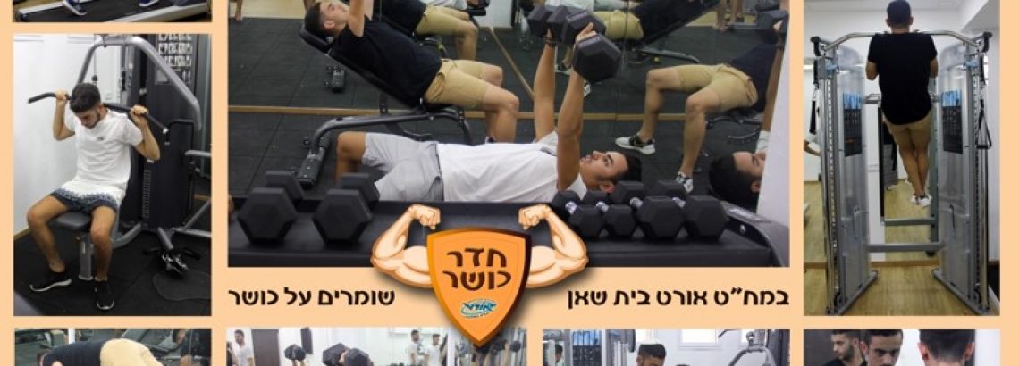 מודל חינוך הוליסטי